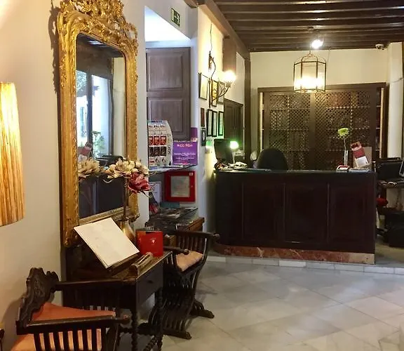 卡萨德卡皮特那萨利酒店 酒店 3*